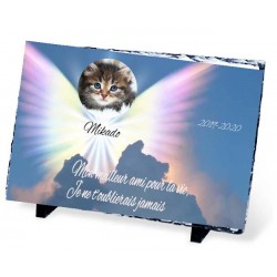 Plaque Funéraire animal ardoise ange ciel