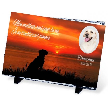 Plaque Funéraire chien et coucher de soleil ardoise chien et femme
