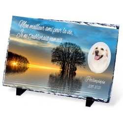 Plaque Funéraire chien et lac ardoise chien et femme