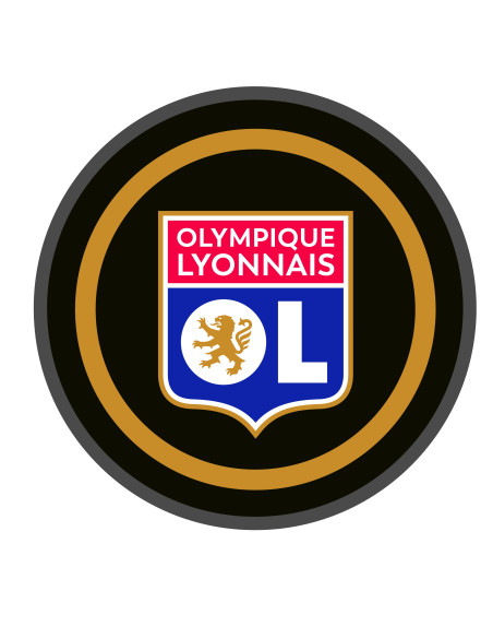 Kit Stickers Olympique Lyonnais couleur