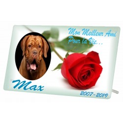 Plaque Funéraire Animaux