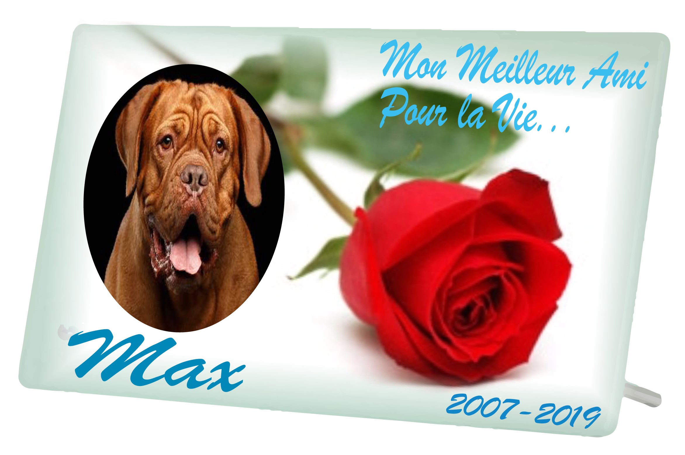 Plaque Funeraire Rose Pour Chien Ou Chat