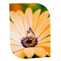 Horloge Moderne personnalisée