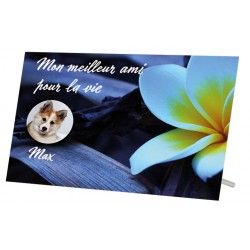 Plaque Funéraire Animaux