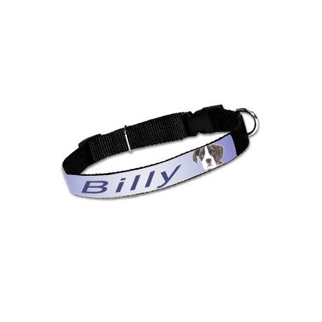 Collier Chien