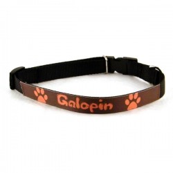 Collier Chien 2