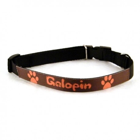 Collier Chien