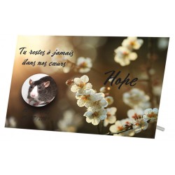 Plaque Funéraire Rat