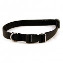 Collier Chien Collier Chien