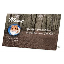 Plaque Funéraire Animaux