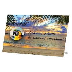 Plaque Funéraire Animaux