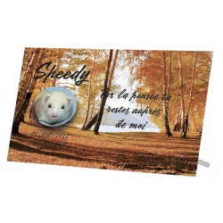 Plaque Funéraire Animaux