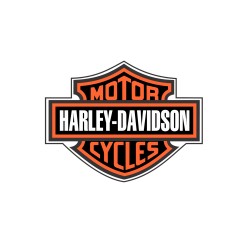 Sticker couleur Harley 2
